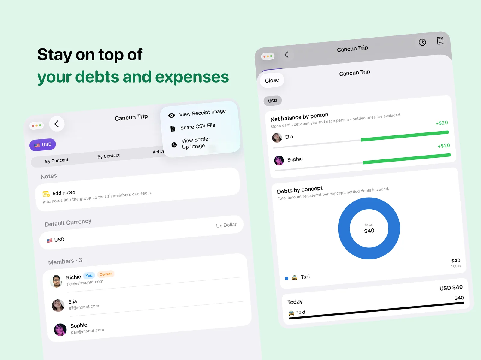 Monet group detail with net balance per person and a chart of debts by concept