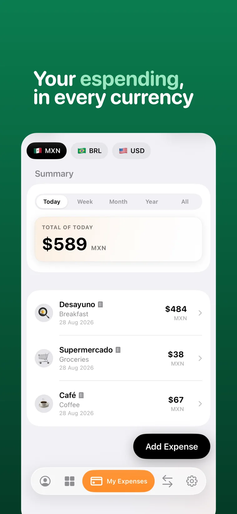 Monet personal expenses listed in several currencies